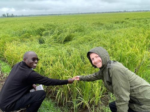 Matt Miller and field technician Patrick Wanyaka at rice fields in Kenya