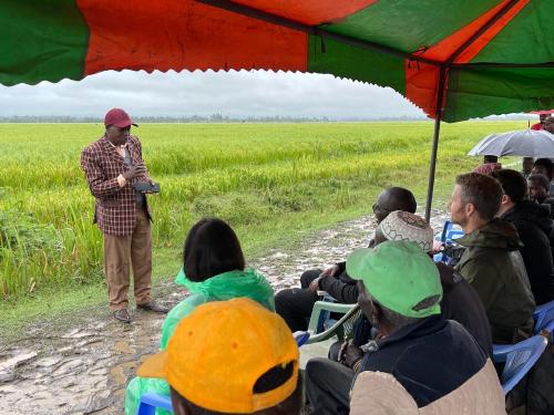 Our team listening to rice farmer experiences in Kenya