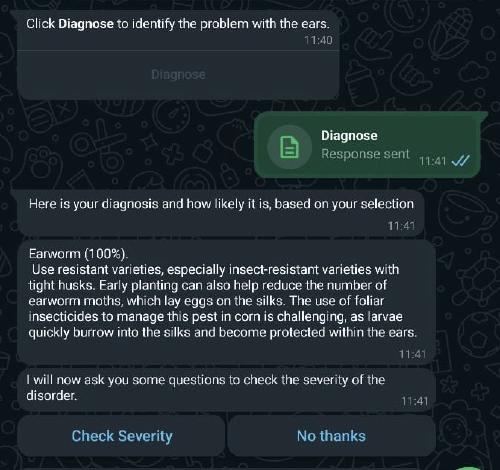 Screenshot of Whatsapp chat with Virtual Agronomist showing an example diagnosis from the image-based pest and disease feature.