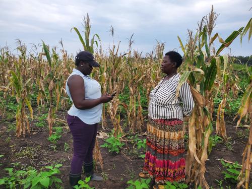 Photo of Ugandan maize farmer Halai Stella with her daughter, lead farmer Namakanda Sharon.