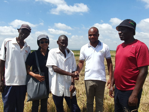 Our iSDA team with Mwea rice farmer Mugo who used our Virtual Agronomist AI advisory service this season