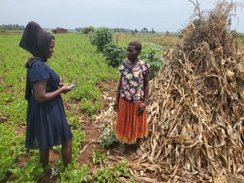 Photo of Ugandan maize farmer Namakoye Everlyn being interviewed by one of our lead farmers.