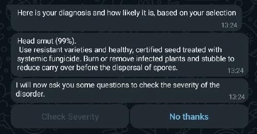 Screenshot of Whatsapp chat with Virtual Agronomist showing an example diagnosis from the pest and disease feature.