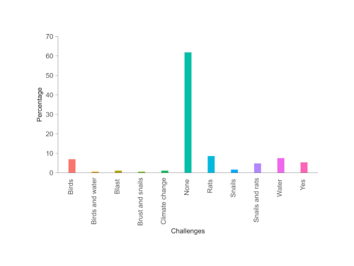 Graph demonstrating sustainability challenges faced by Mwea rice farmers during the season.