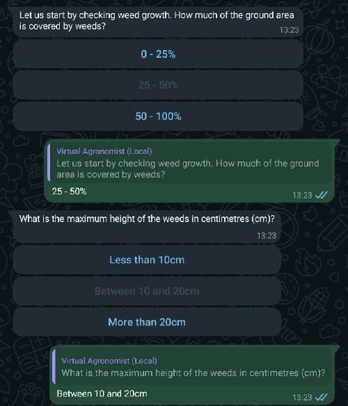 Screenshot of Whatsapp chat with Virtual Agronomist showing some of the questions from the weed scout feature.